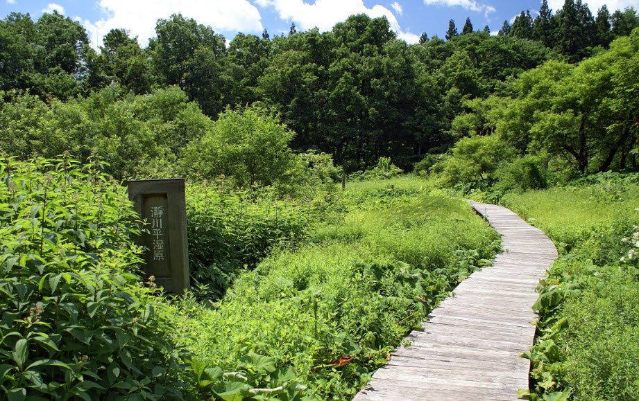 Tajima Plateau Botanical Gardens, Japan